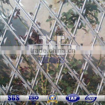 Galvanized Diamond Hole Welded Razor Wire Fence