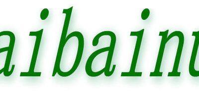 Jinan Saibainuo Extrusion Machinery Co.,Ltd