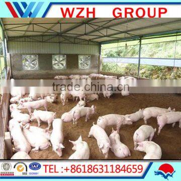 Prefabricated Steel Frame House , Steel Structure Building Warehouse