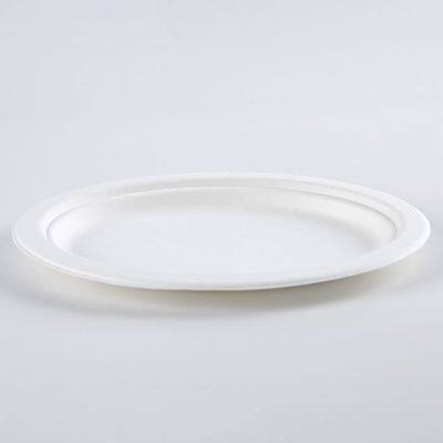 Disposable Biodegradable bagasse 7*10 inch  oval plate Take away Sugarcane