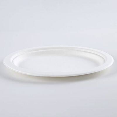 Disposable Biodegradable Bagasse 10*12 Inch Oval Plate Take Away Sugarcane