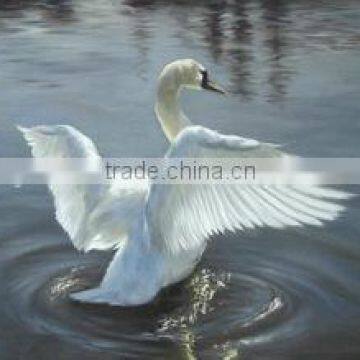 Artwork Handmade Oil Painting (Cf-44) photo-2