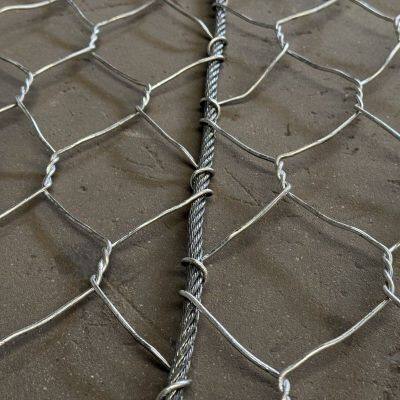 Hexagonally Woven Double Torsion Slope Protection Mesh Plain Weave Cutting Processing for Marine Structures Pipeline Protection photo-4