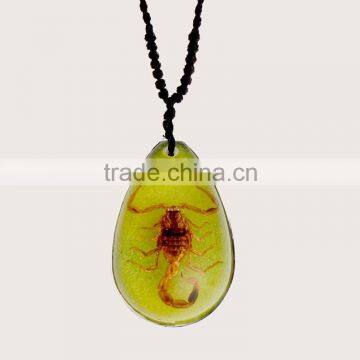 2016 new style necklace with real insect spider