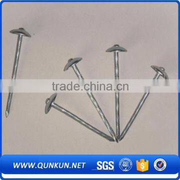Gun Nail, Iron Nails