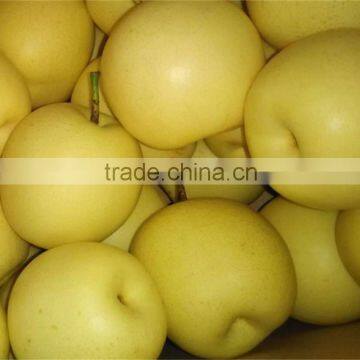 Chinese style wholesale fresh pears