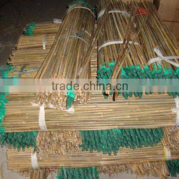 bamboo teepe