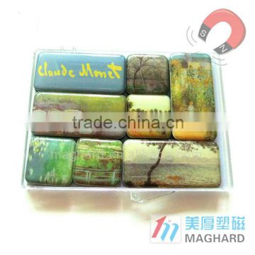 Epoxy Resin Coating Magnet Sets