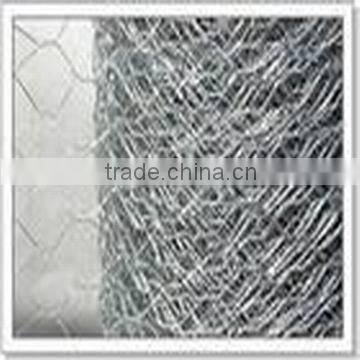 Hexagonal Wire Netting/Gabion Netting photo-4