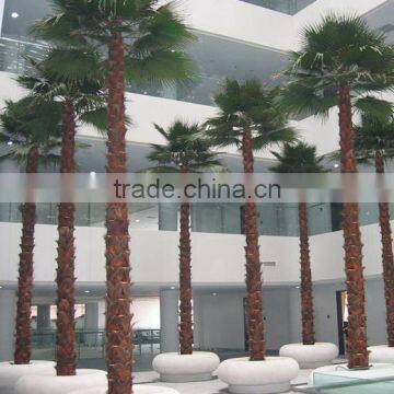 Shopping Mall Large Artificial Palm Tree