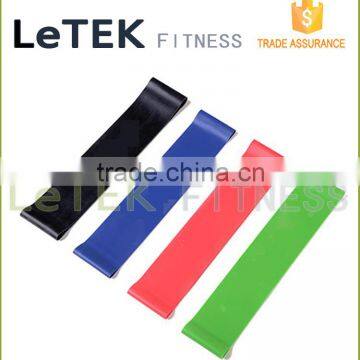 Resistance Bands - Set of Fitness Bands with Large Exercise Band - The Best Elastic Stretch Bands- Resistance Loop Bands- Fitnes