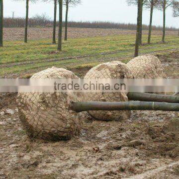 Tree Wire Basket, Tree Root ball netting