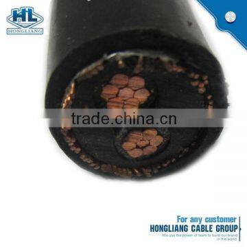 1100V 2x10mm2 XLPE Insualted Copper Concentric Cable