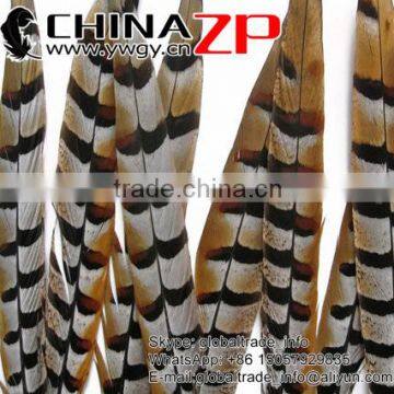 ZPDECOR Wholesale Top Selling Raw 45-50cm Size Reeves Venery Pheasant Tail Feathers for Decorations photo-3