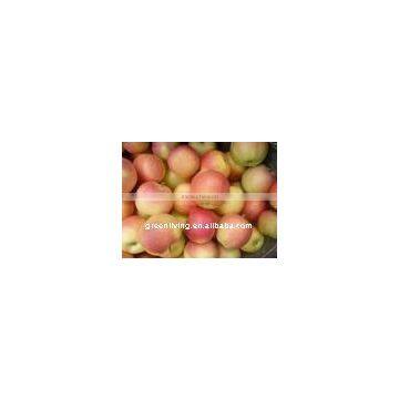 high quality fresh gala apple(delicious juice sweet)