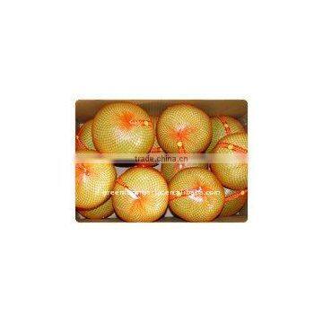 2011 Fresh Honey Pomelo