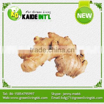 Fine Price China Fresh Ginger 150g