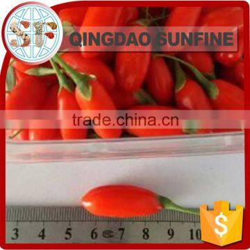 The high quality bulk goji berries in varierty size