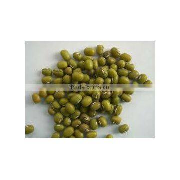 Green Mung bean
