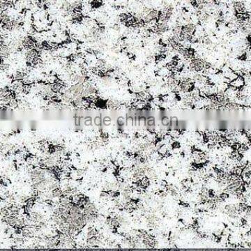 G603 LIGHT GREY Granite 600x600