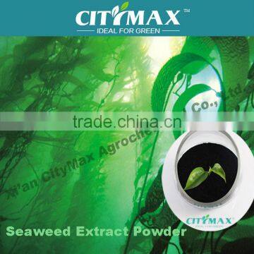 seaweed extract alginic acid growth substances