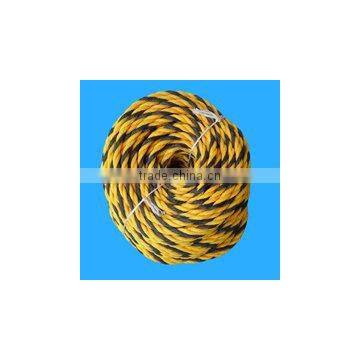 color tiger rope/ cord with best price