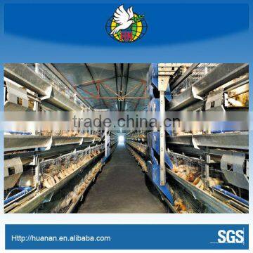Poultry Feeding Equipment