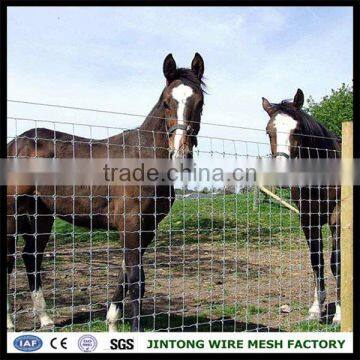Wire Mesh Roll Fence Used for Horses Galvaized Cattle Fence photo-5