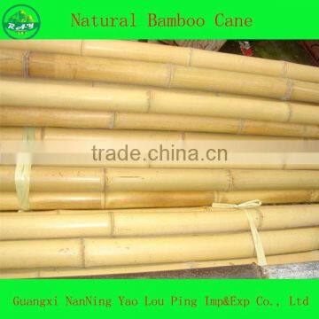 Raw Flooring Bamboo