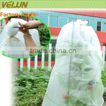 Hot sale spunbonded agricultural cloth for tomato cover fabric (WJ-AL-0097)