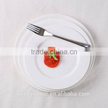 Good Quality Restaurant and Hotel Ceramic Rectangle Dinner Plate photo-6