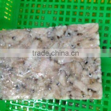 Frozen Baby Loligo Squid photo-4