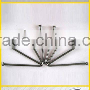 Round Nail/round Wire Nails photo-6