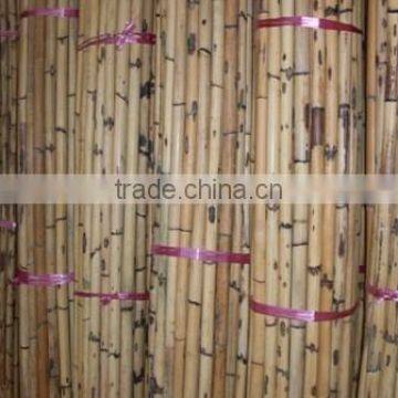 Raw manau rattan cane