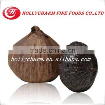 Manufacturer Supply Solo Black Garlic photo-2