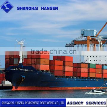 Shanghai Professional Import Export Agent international trading