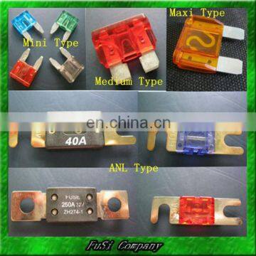 Automotive Fuse Types