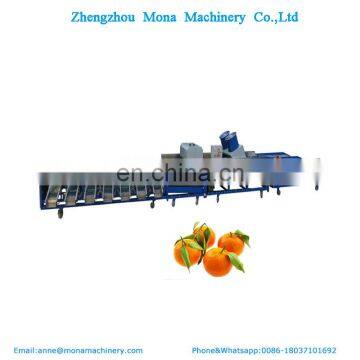 Navel Orange and Ponkan Grading/ Sorting Machine. Fruit Washing and Waxing Machine photo-6