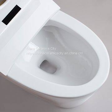 [SSWW] Smart Toilet