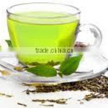 Premium quality Green tea for Sales