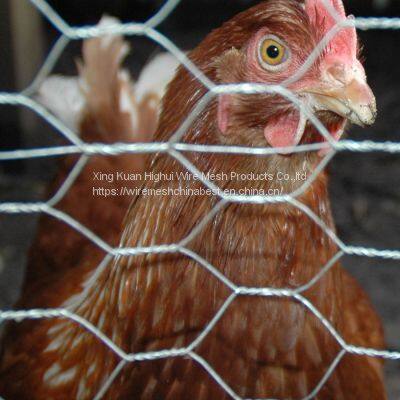 Chicken Wire Vertical Garden Factory photo-2