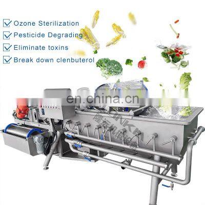 Popular in Production Line Vortex Fruit Washer Vegetable Jujube Cucumbers Tomatoes Washing Machine