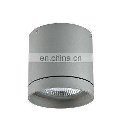 Best Price Mini Ceiling Downlight Surface Mounted 30W 36W 42W LED Down Light