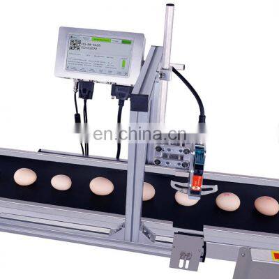 Online Automatic Continuous Coding Machine Printing LOGO Date Batch Number Production Line Egg Inkjet Printer photo-4