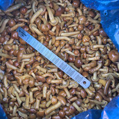 Nameko in brine  A grade