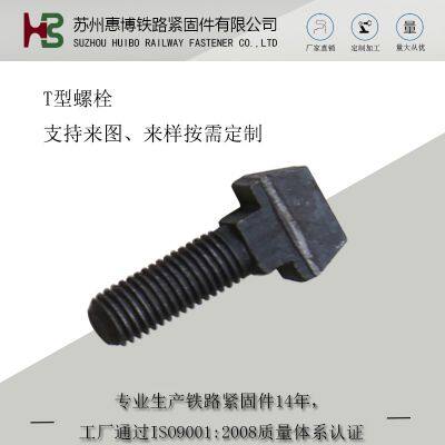 T-bolt T Head Bolts / T-Slot Bolts C1 S1 Clip Rail Nabla Fastening System For KS12 Tie Plate SKL12 Hs32 M22x55 65 M22x156 photo-3