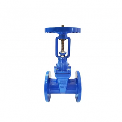 Z41X-16Q/Z41X-10Q PN10 PN16 DN50 DN100 Water Seal Gate Valve Rising Stem Gate Valve photo-3