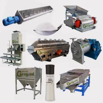 3 Tons Per Hour Crude Salt Crushing Washing Drying Line