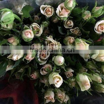New OEM Fresh Rose Flower photo-2