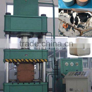 CE Approved Salt Block Machine photo-3